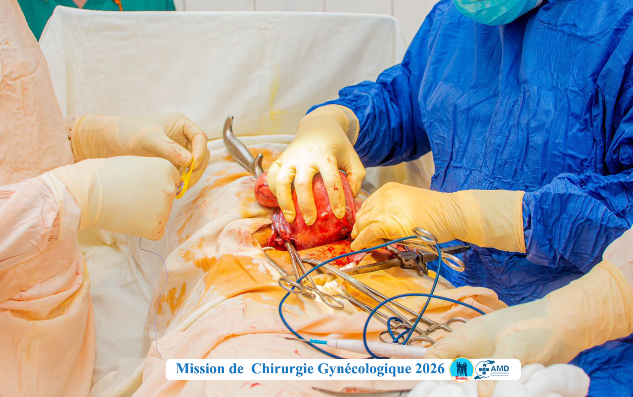 Image de l'activité