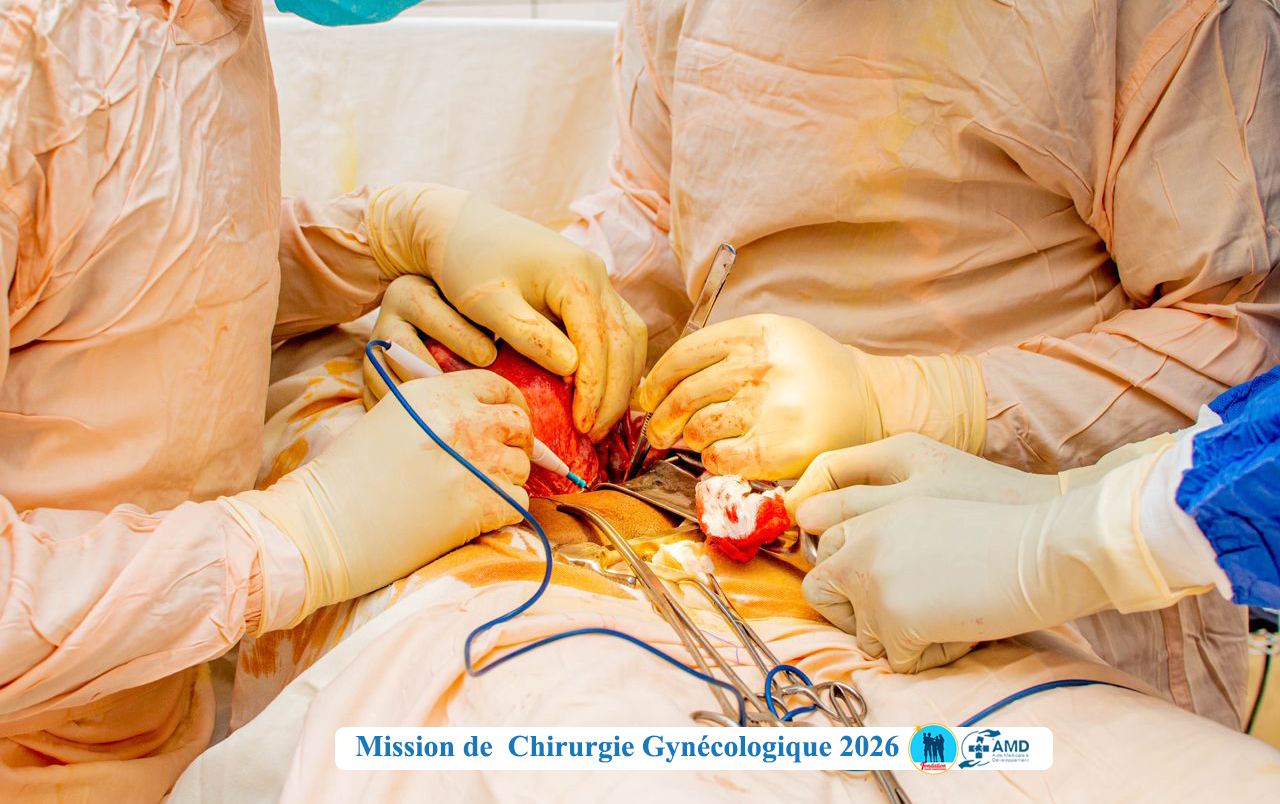 Image de l'activité