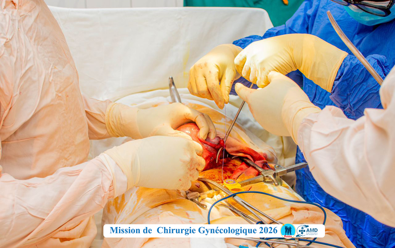 Image de l'activité